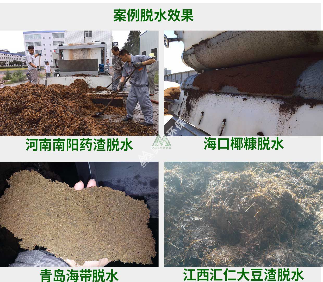 1556006908726138.jpg zhiwu6.jpg