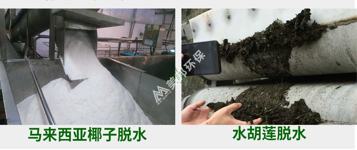 1556006916418448.jpg zhiwu7.jpg