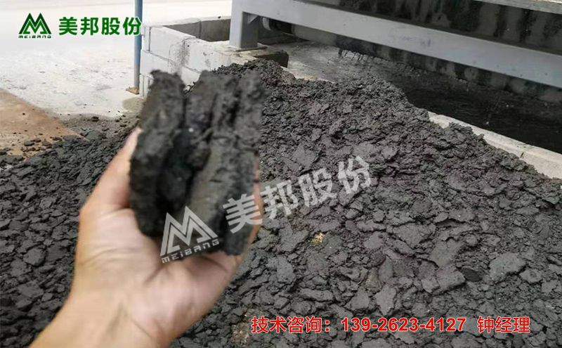 武汉河道污泥处理设备